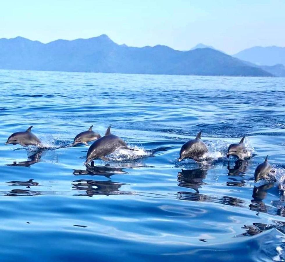Pousada Costao Do Sol Angra dos Reis Esterno foto