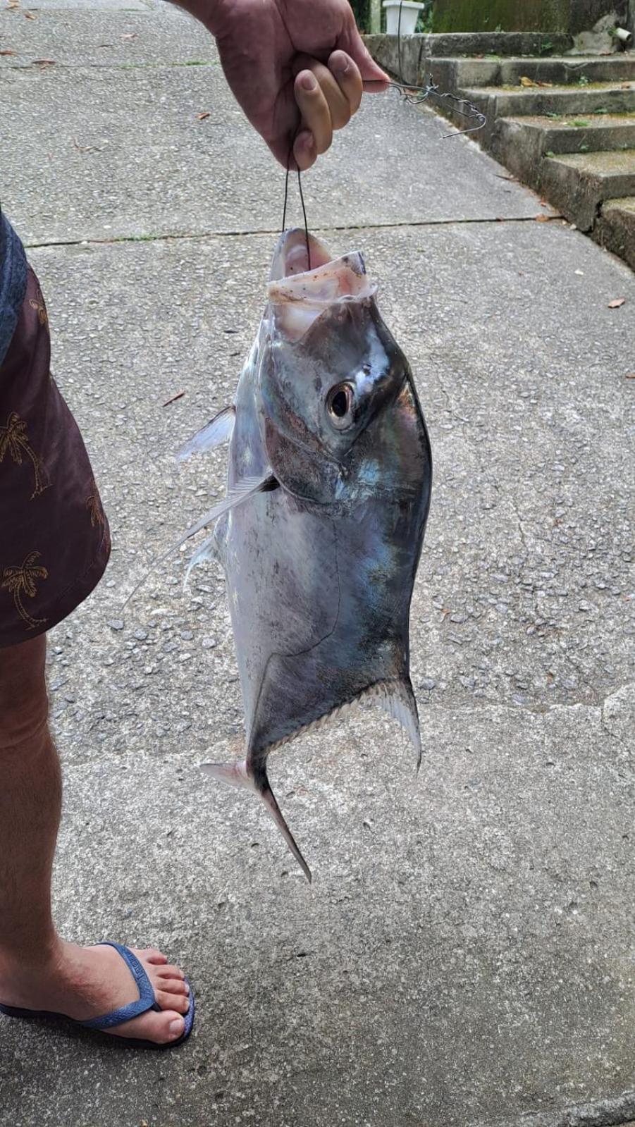 Pousada Costao Do Sol Angra dos Reis Esterno foto