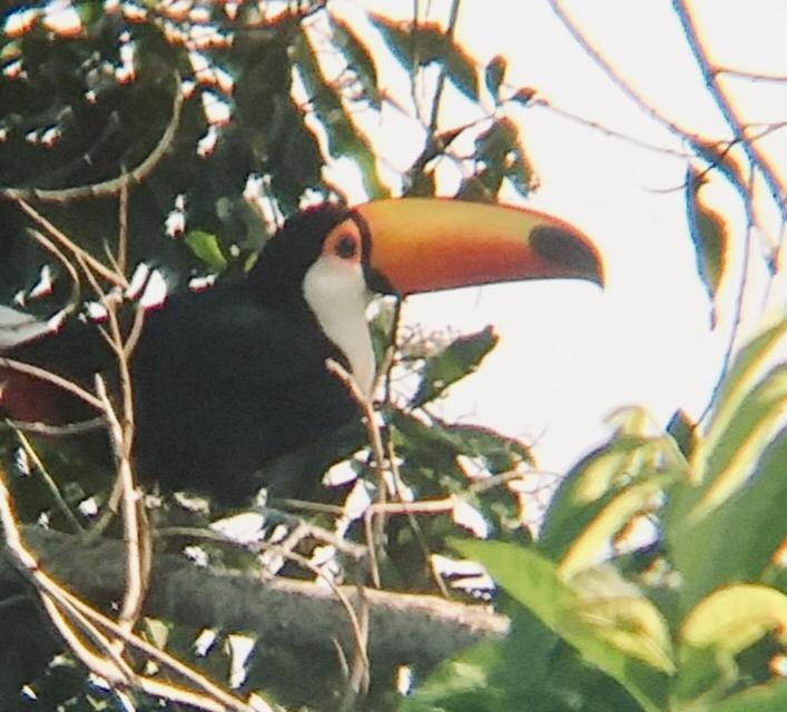 Pousada Costao Do Sol Angra dos Reis Esterno foto